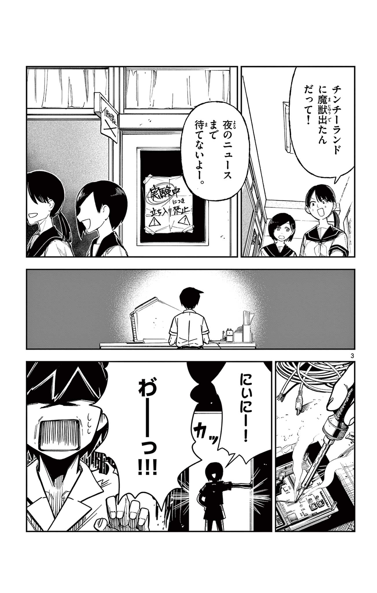 Page 3