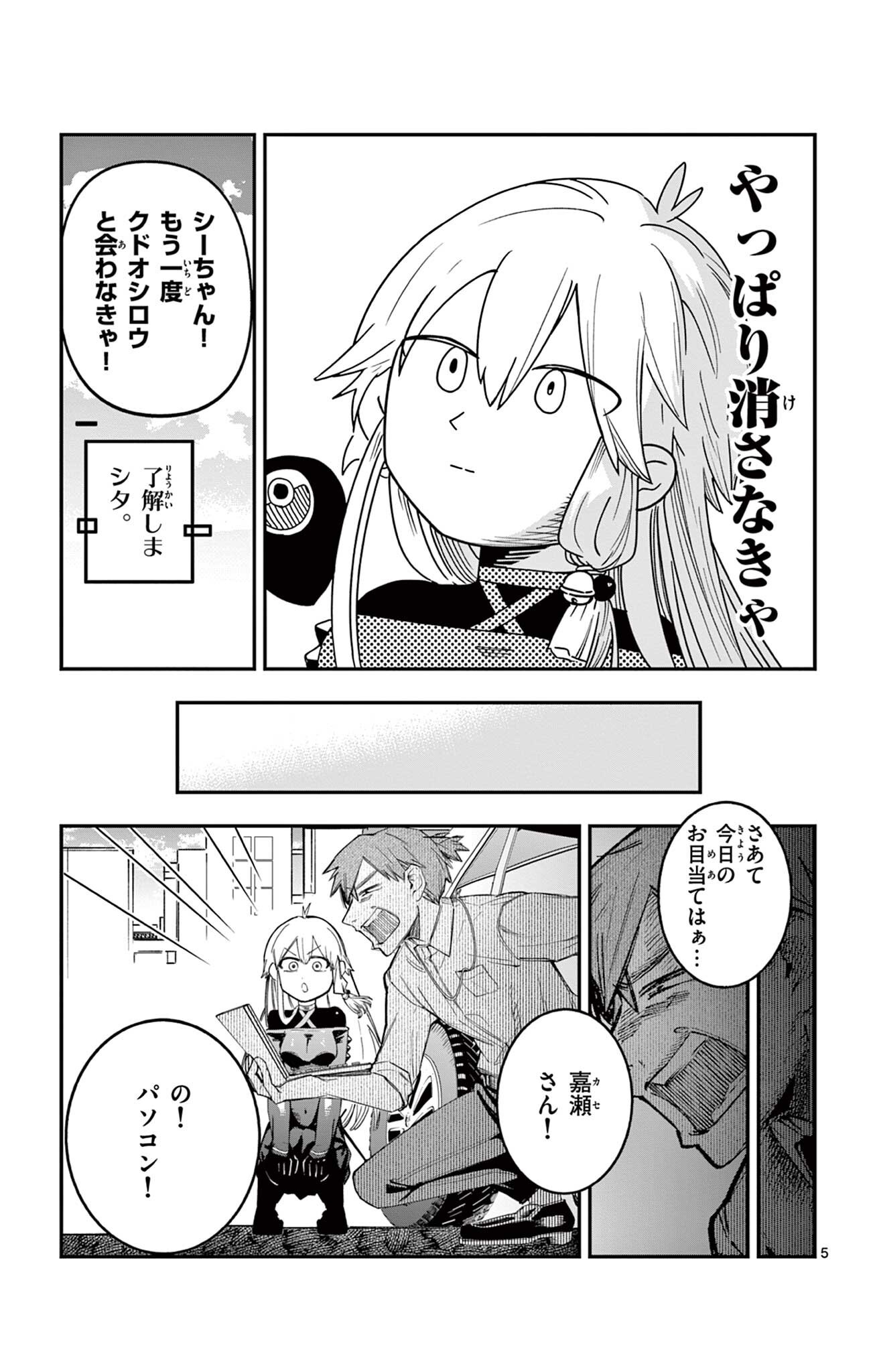 Page 5