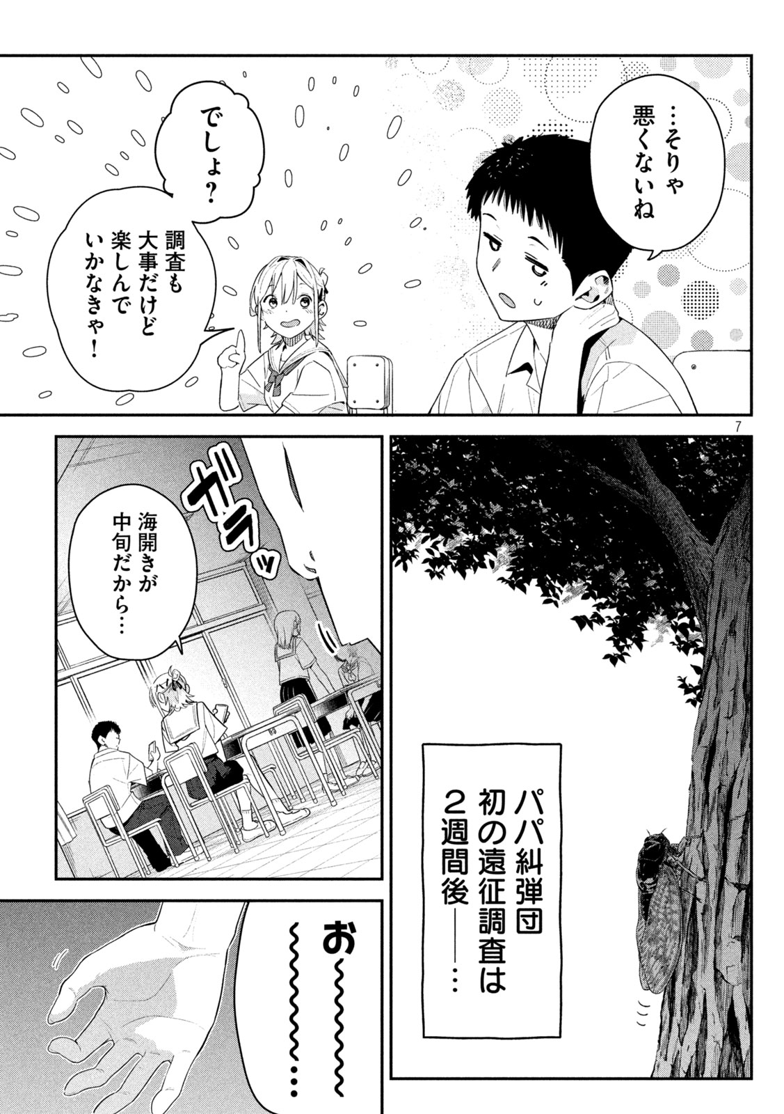 Page 7