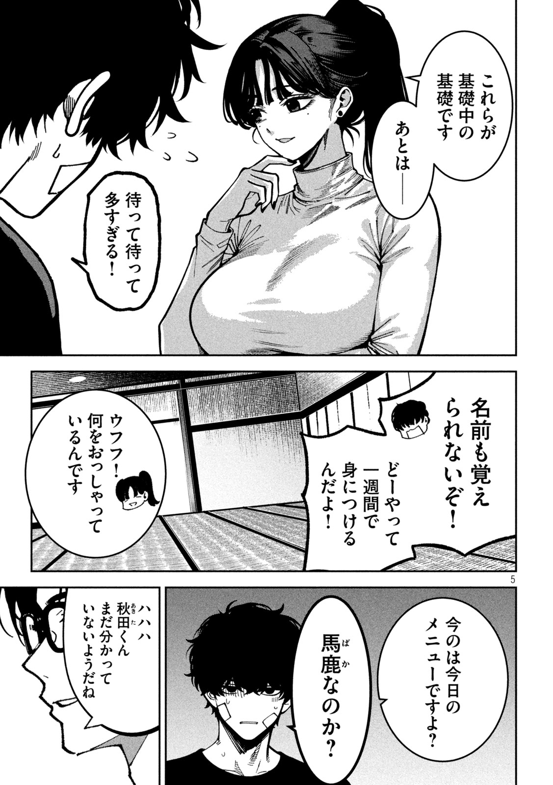 Page 5
