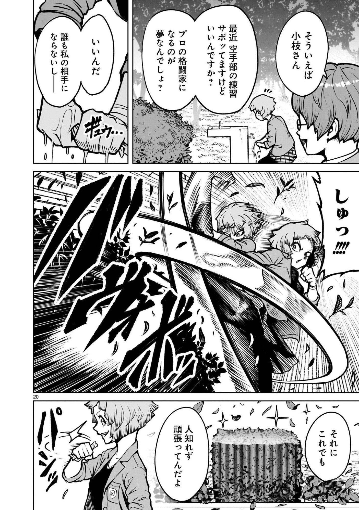 Page 20
