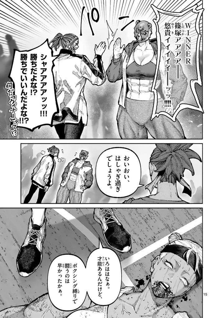 Page 15