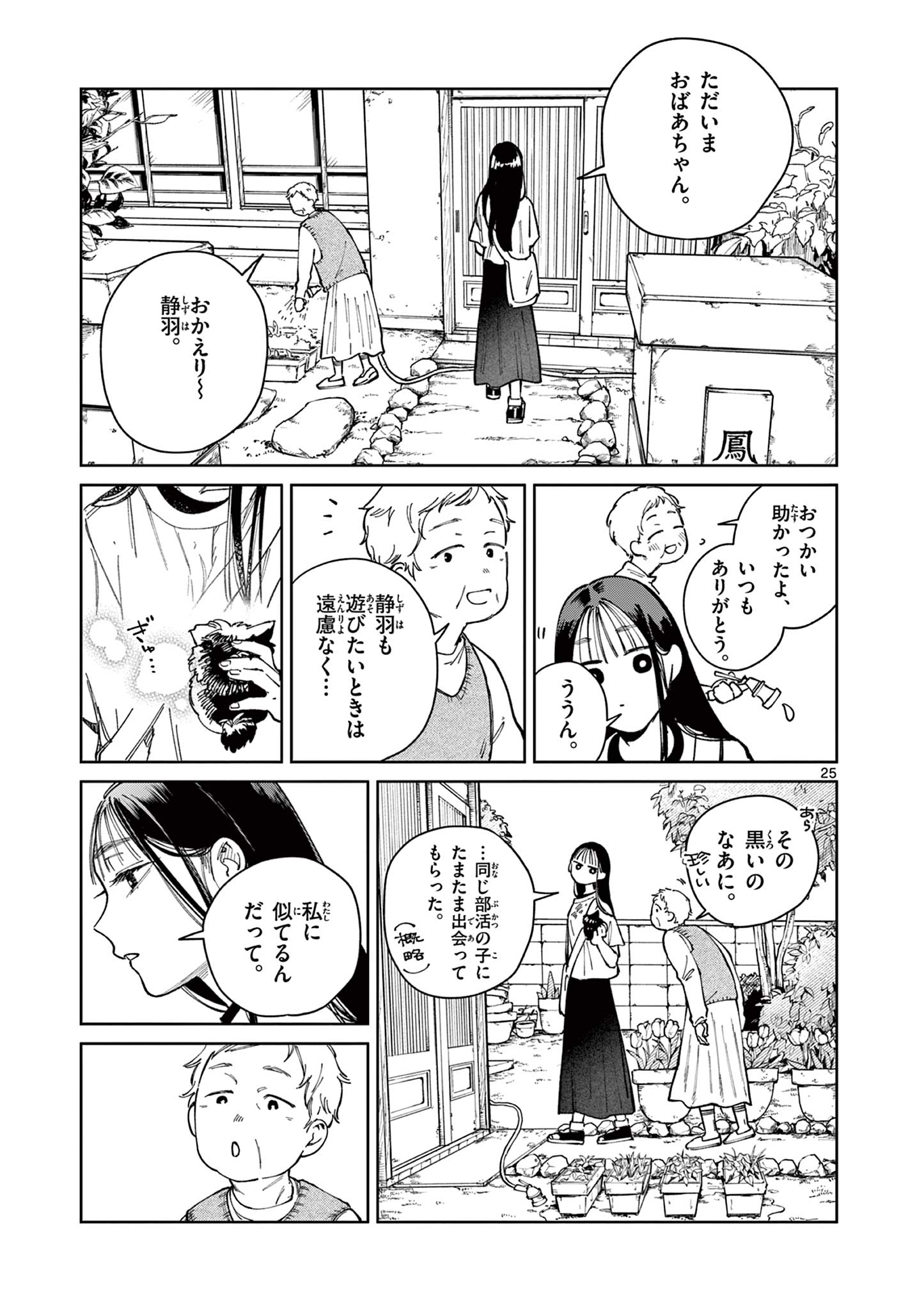 Page 25