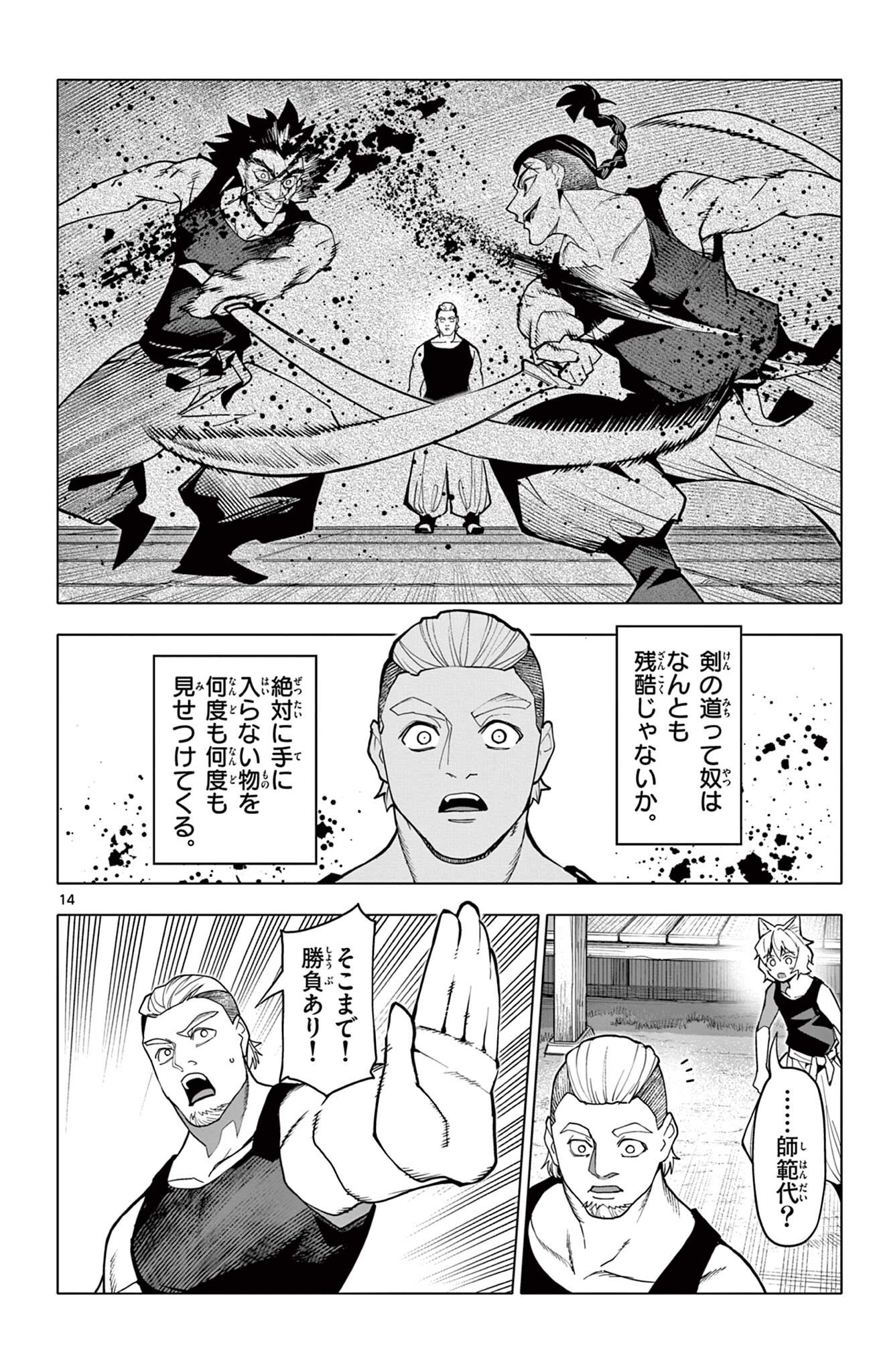 Page 14