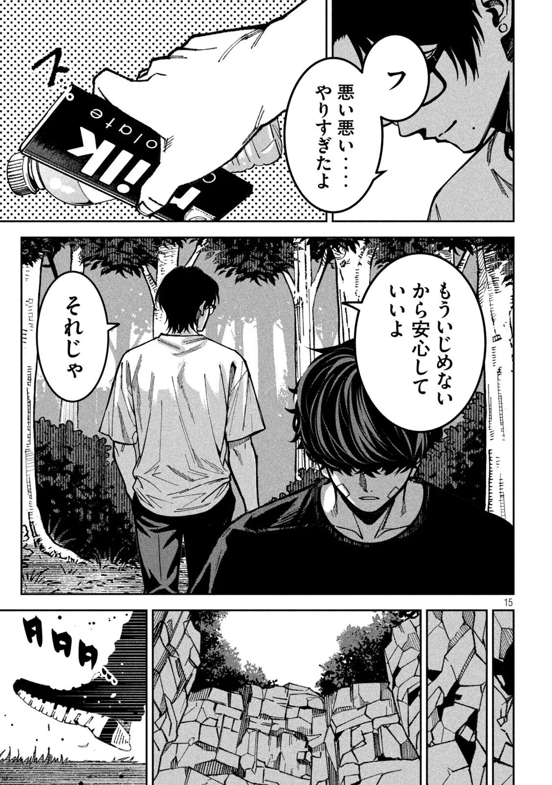 Page 15