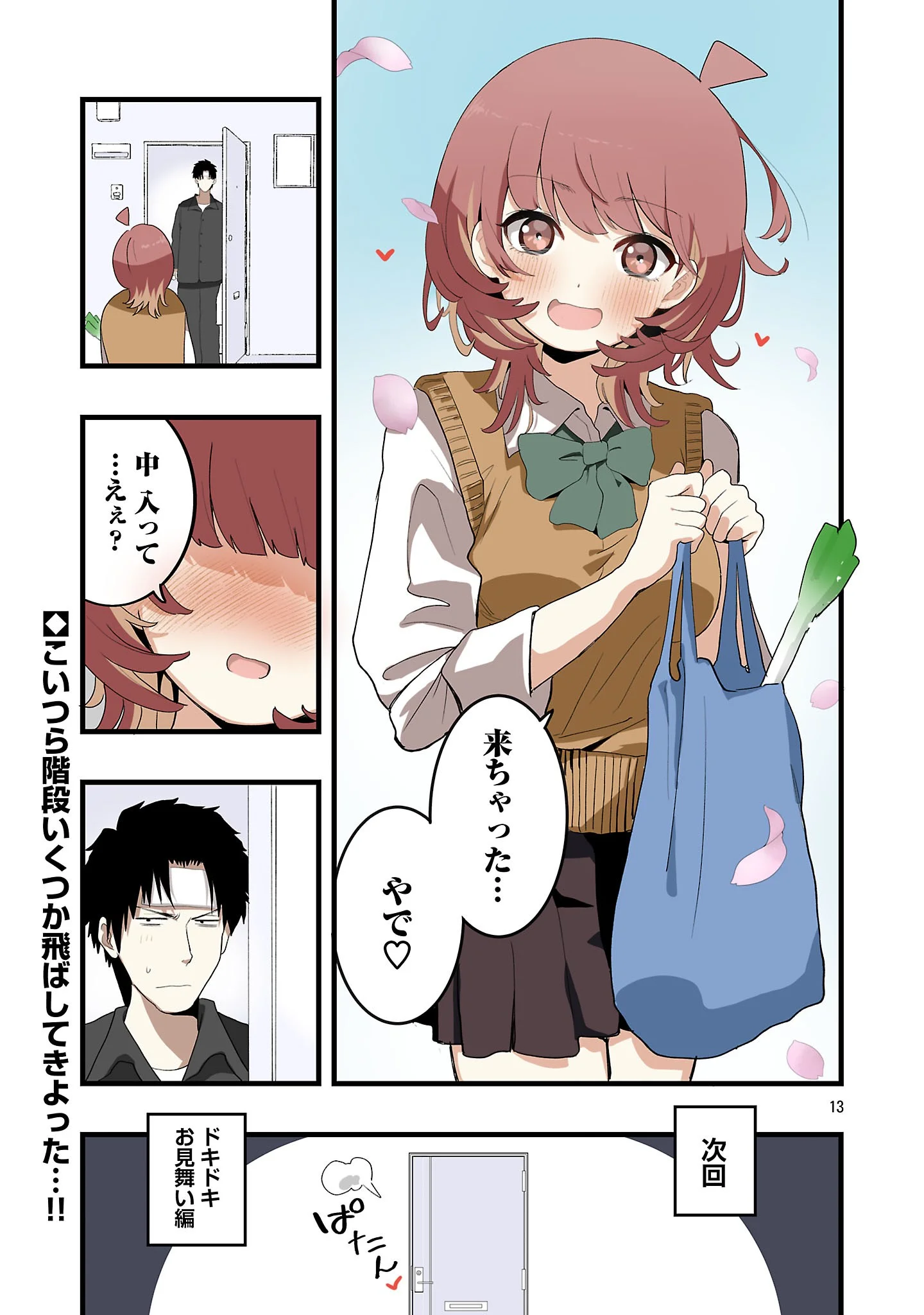 Page 13