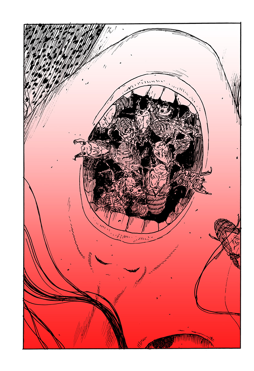 Page 41