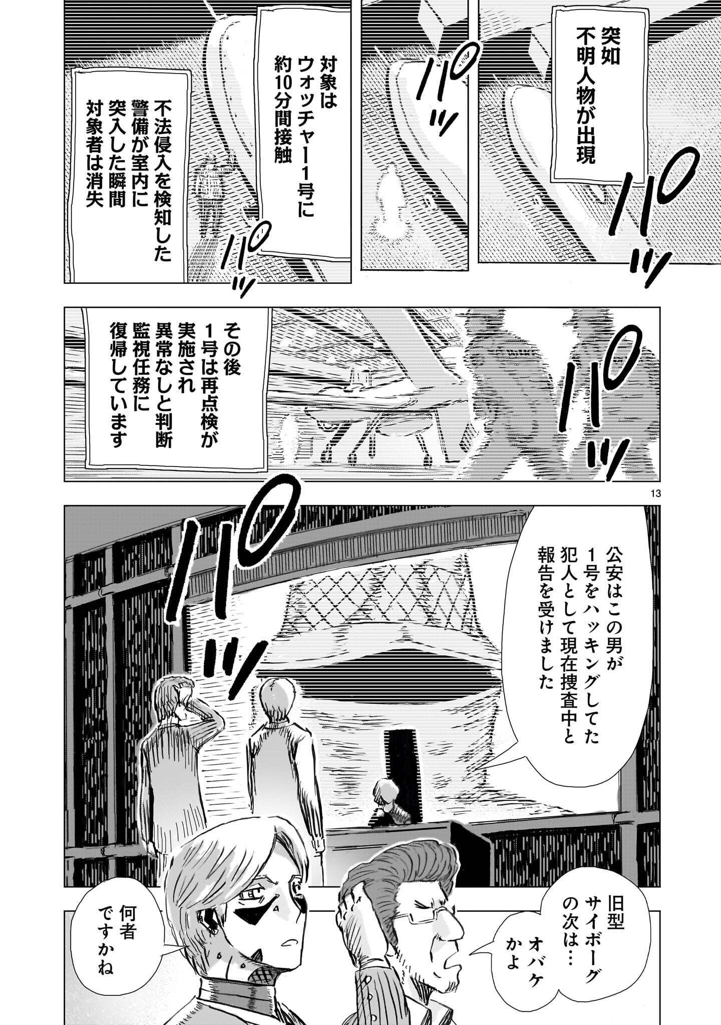 Page 13