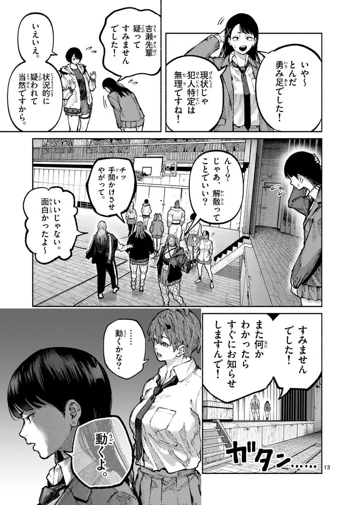 Page 13