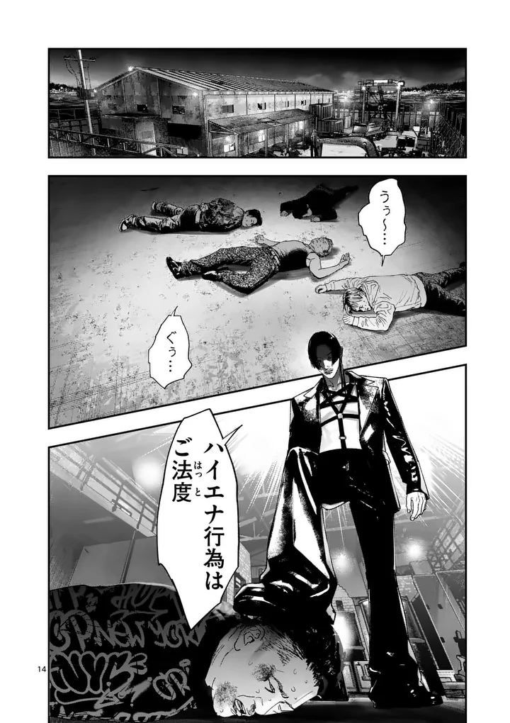 Page 14