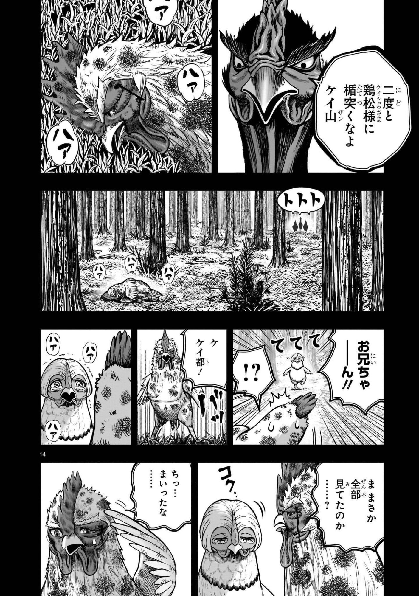 Page 14