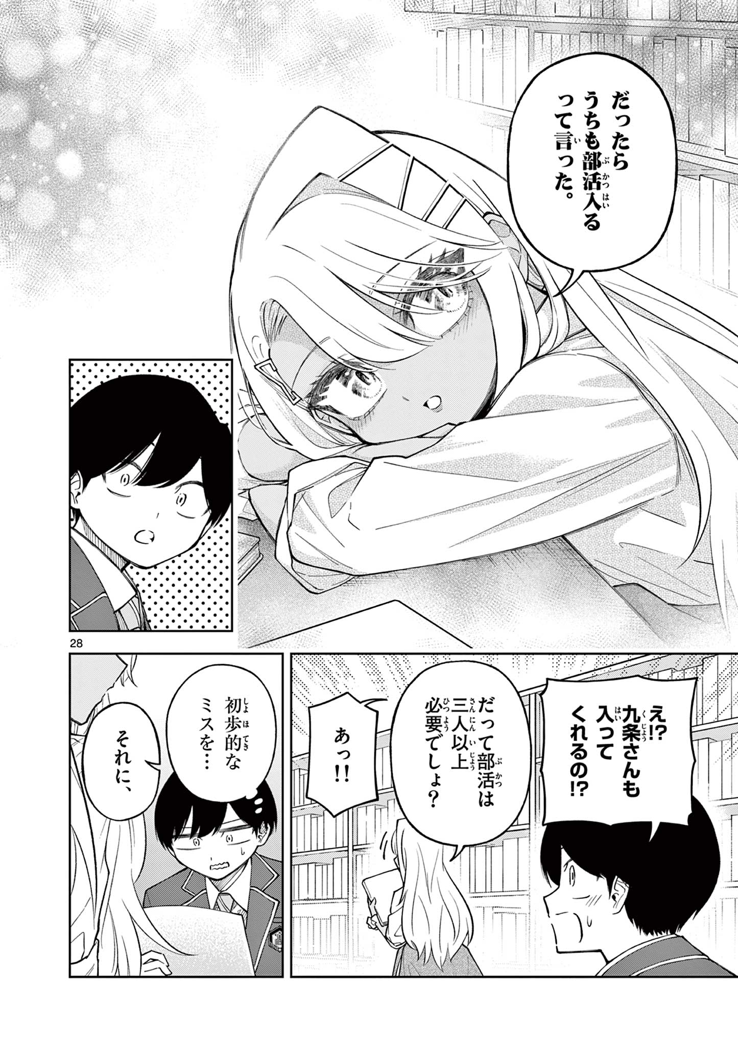 Page 28