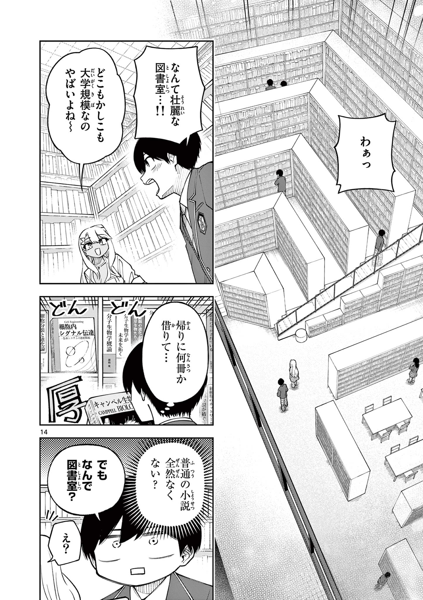 Page 14
