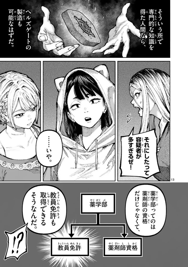 Page 13
