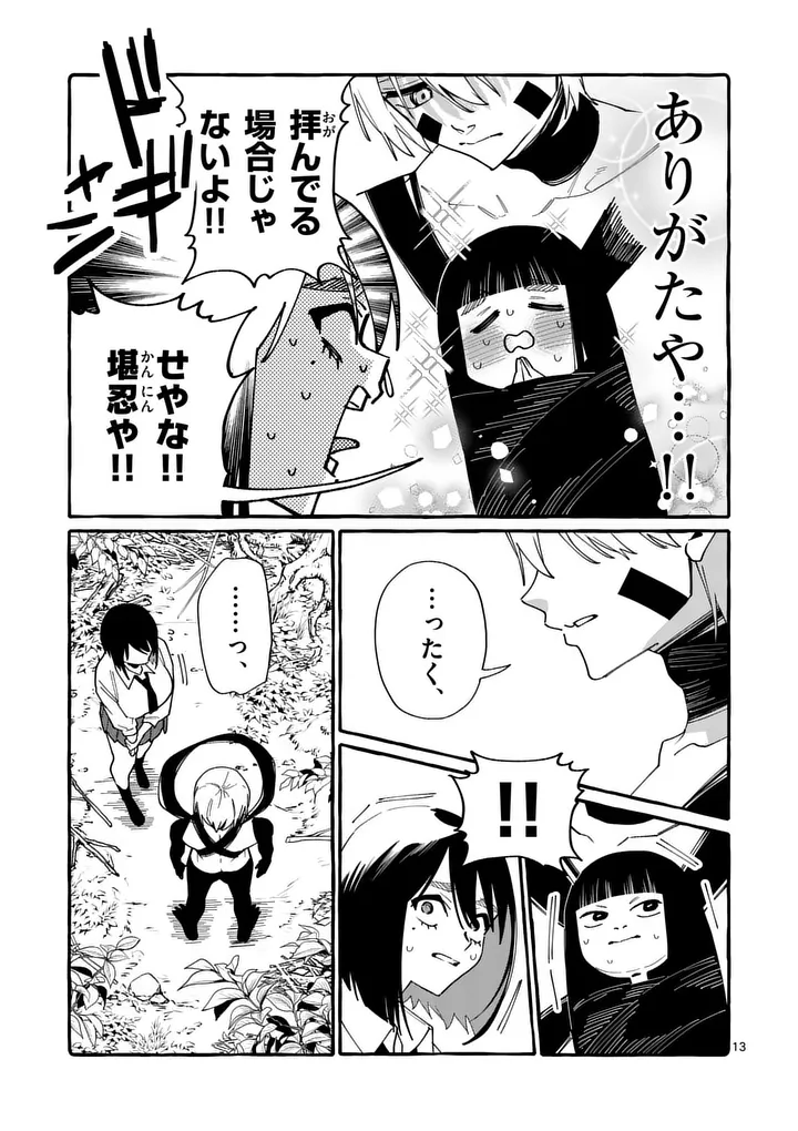 Page 13