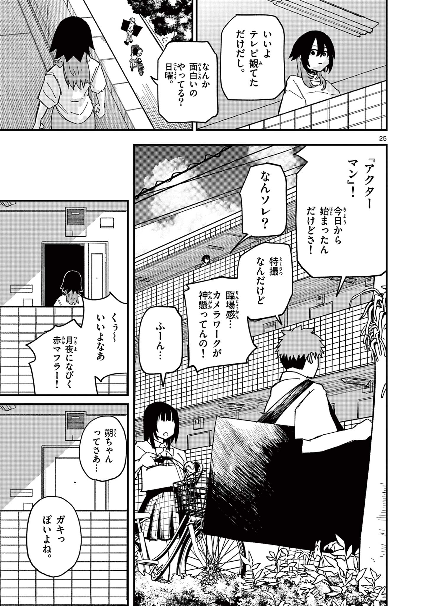 Page 25