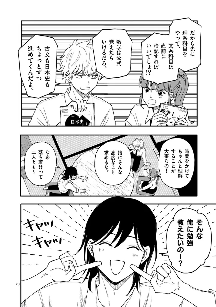 Page 20