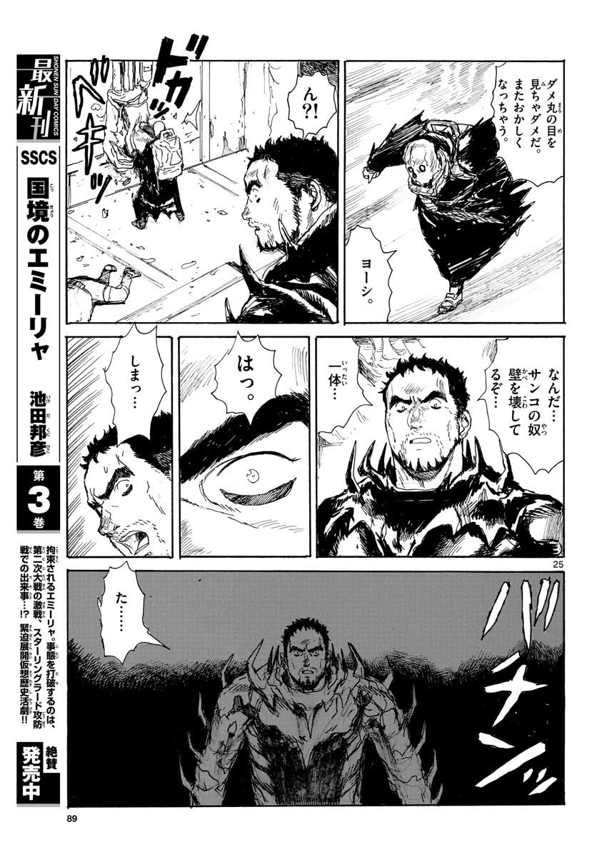 Page 25