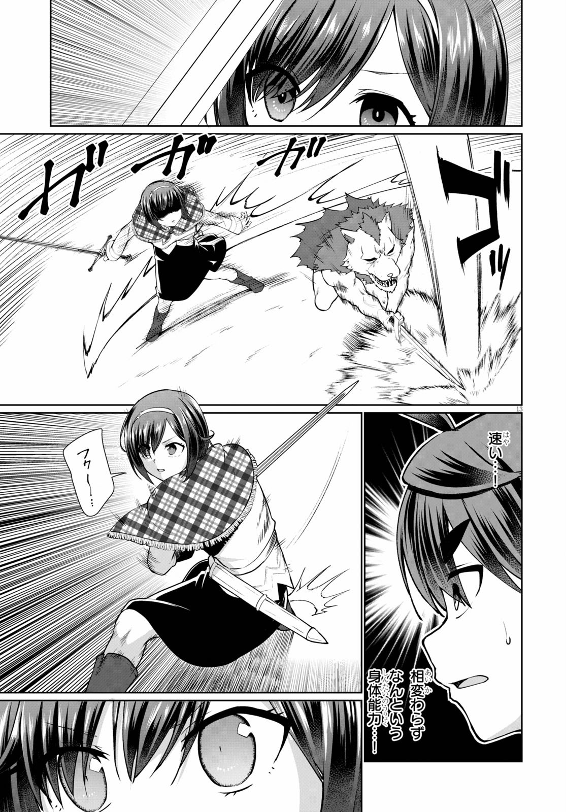 Page 13