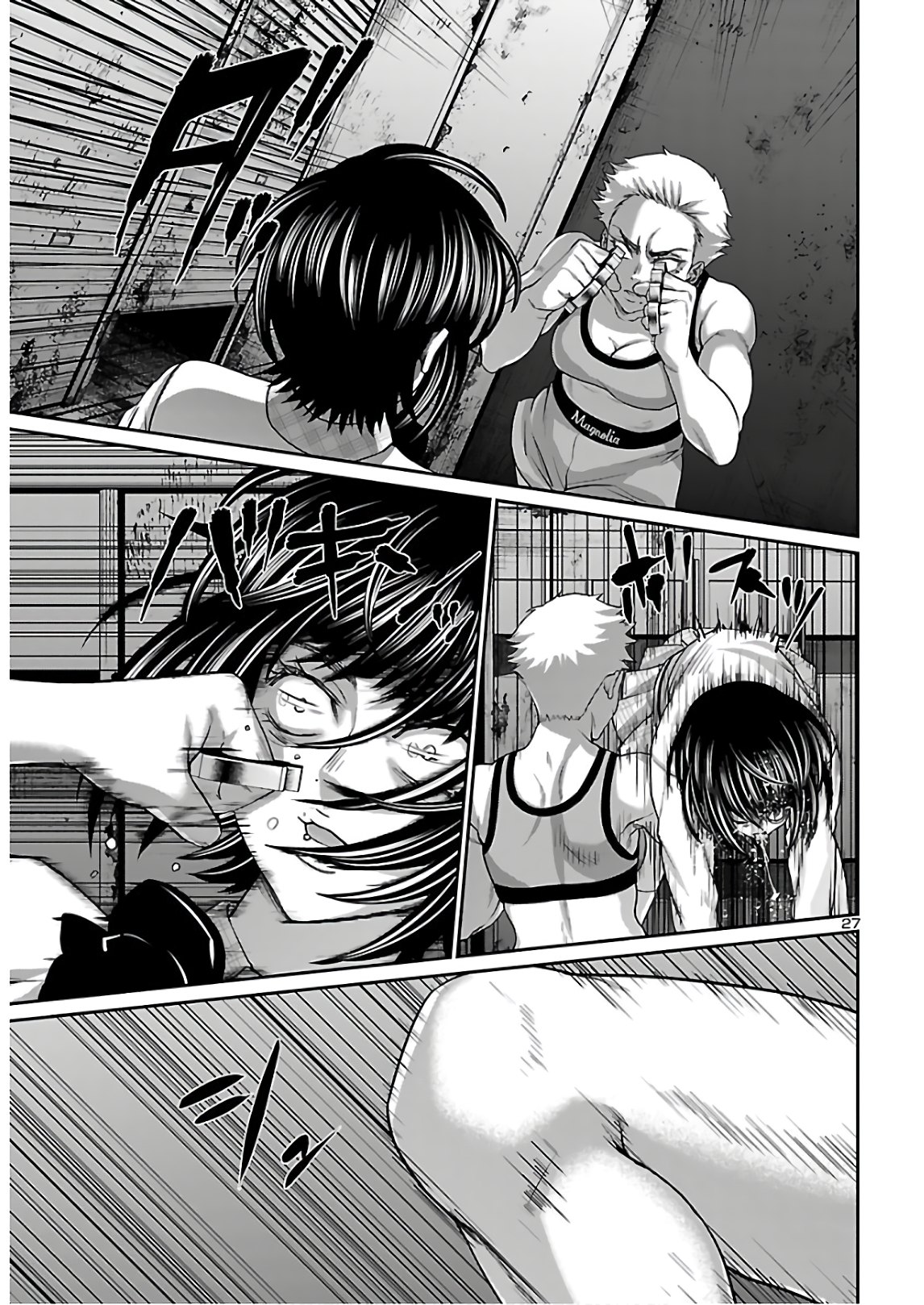 Page 27