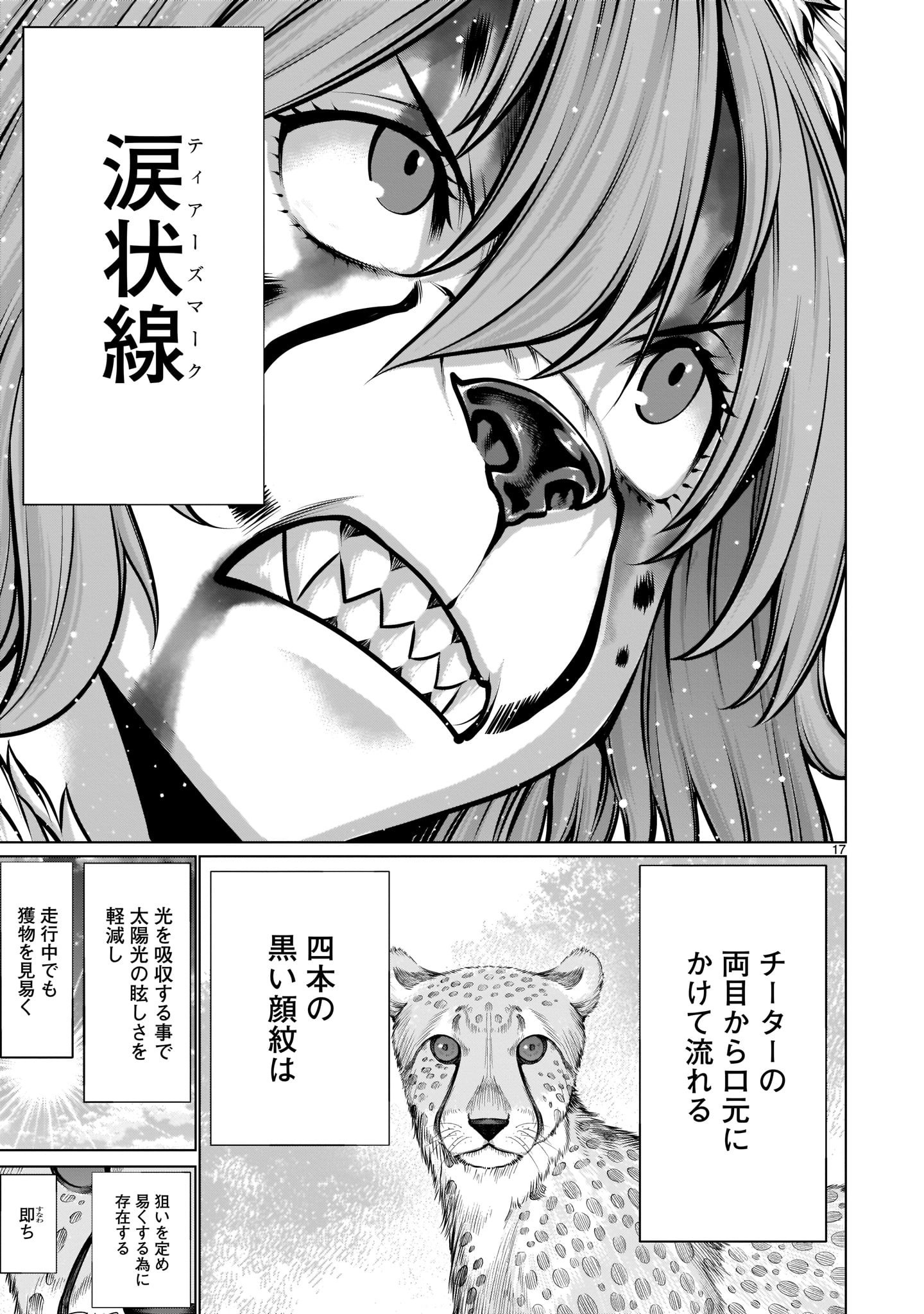 Page 17