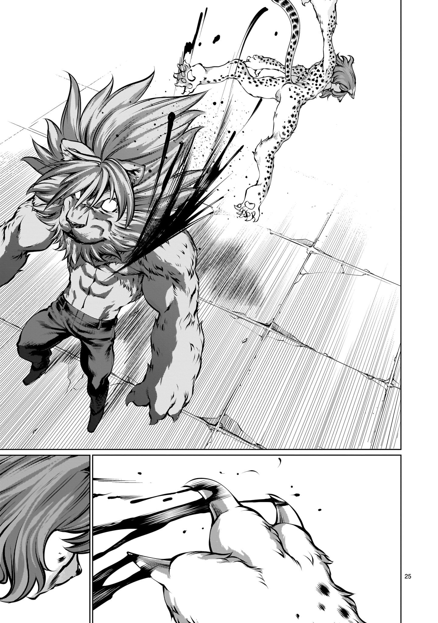 Page 25