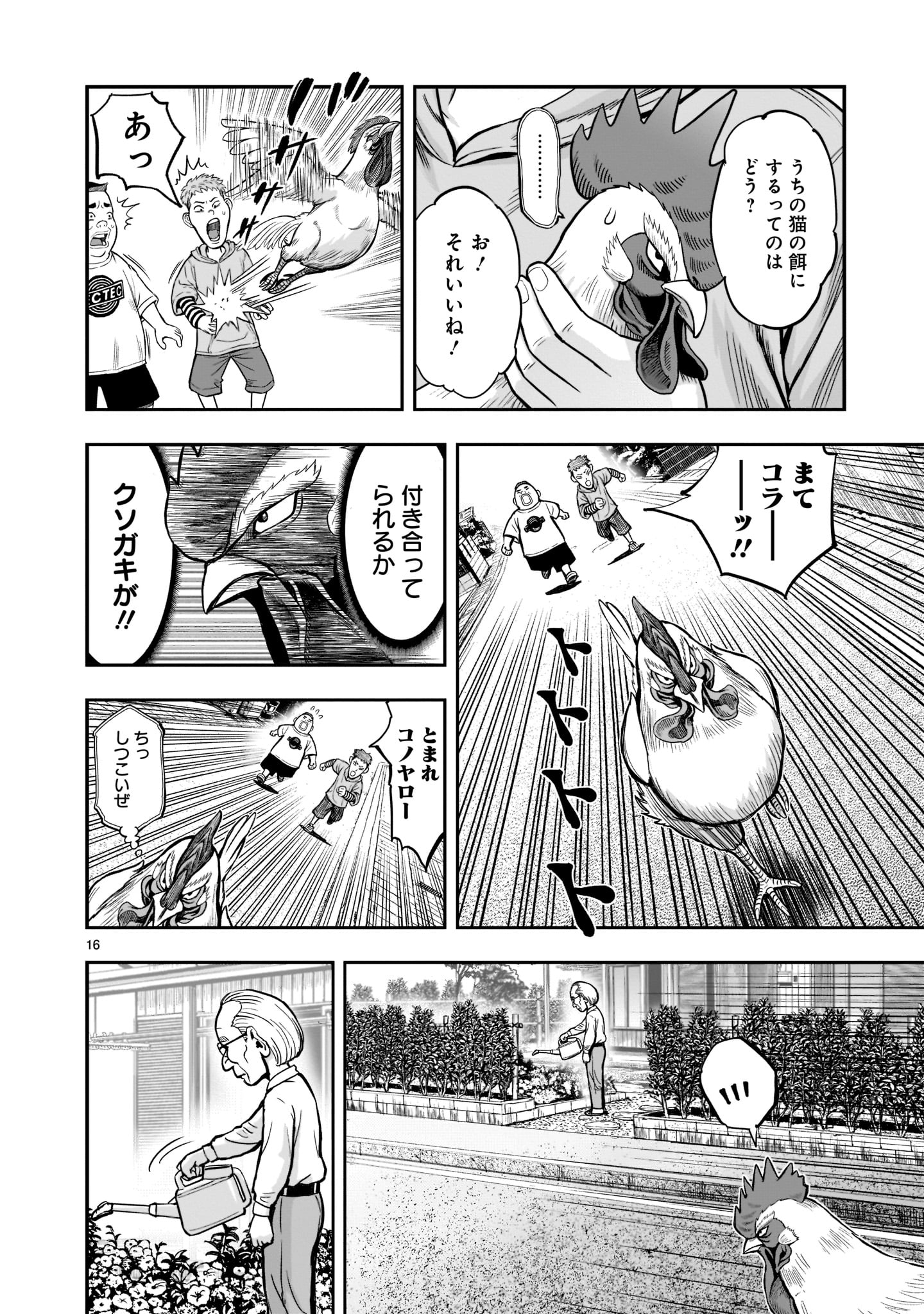 Page 16