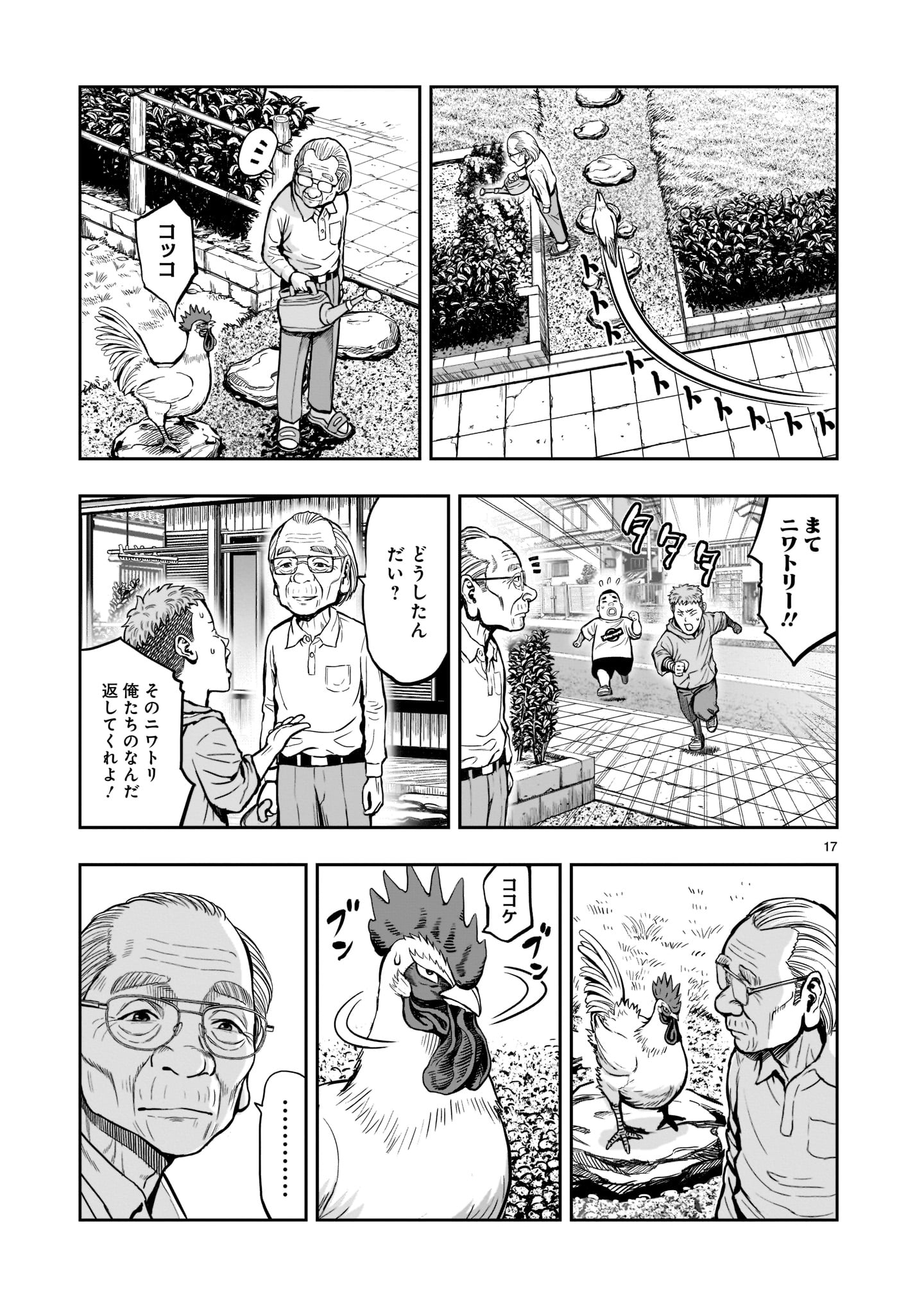 Page 17