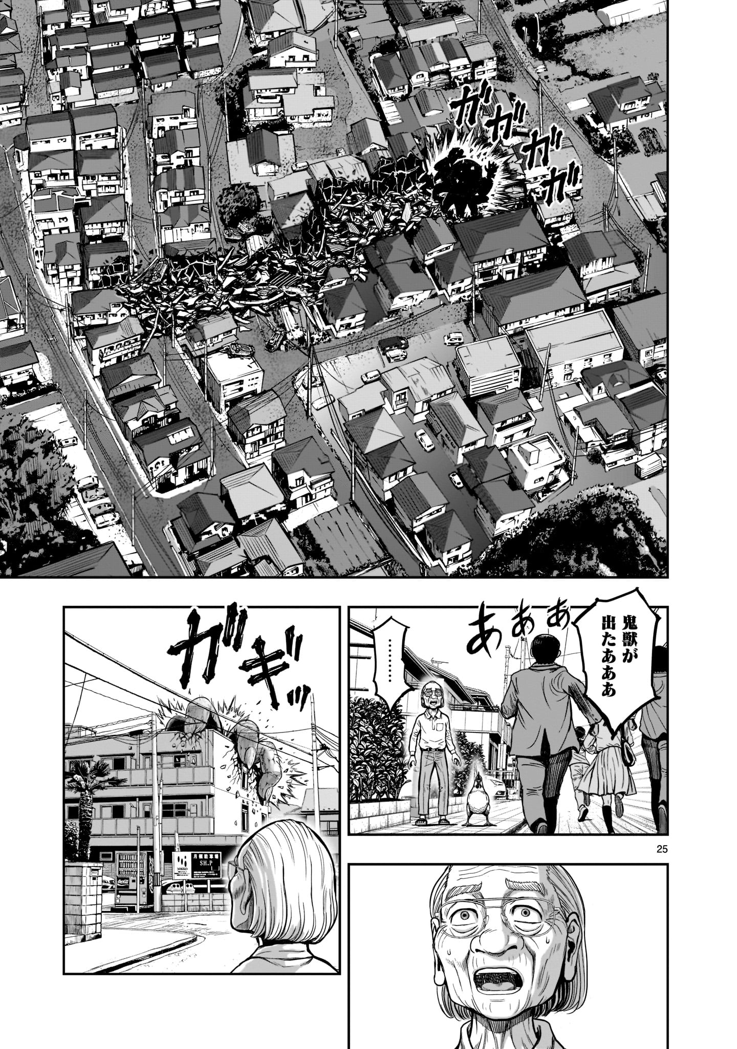 Page 25