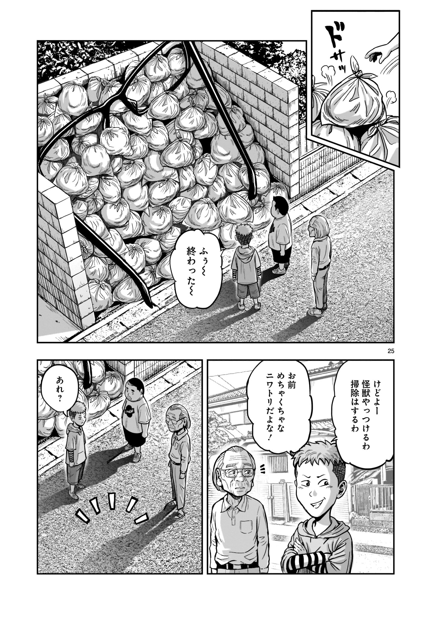 Page 25