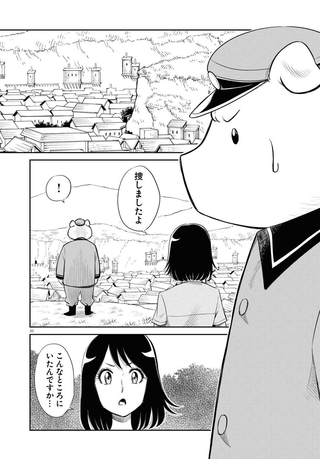 Page 20