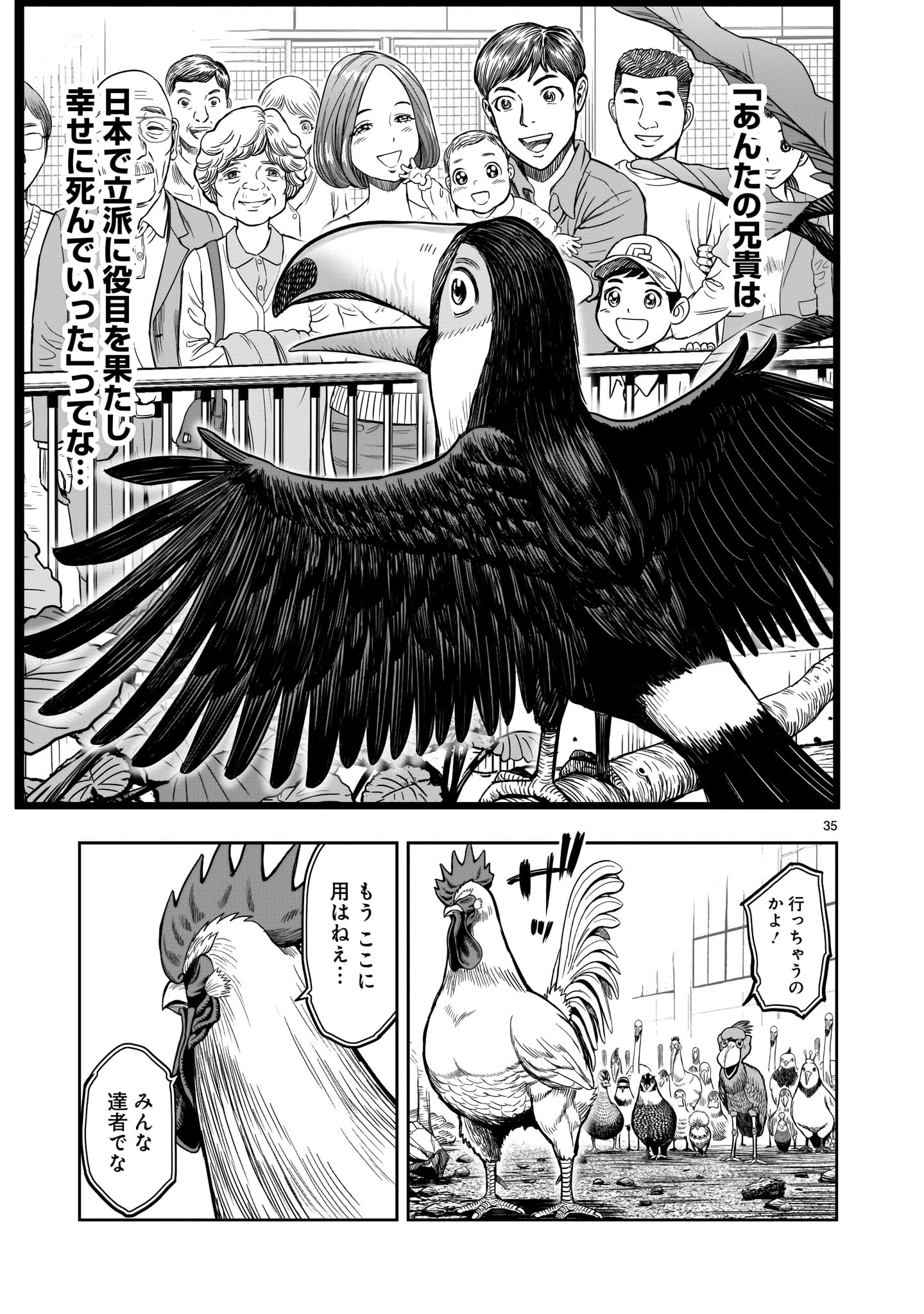 Page 35