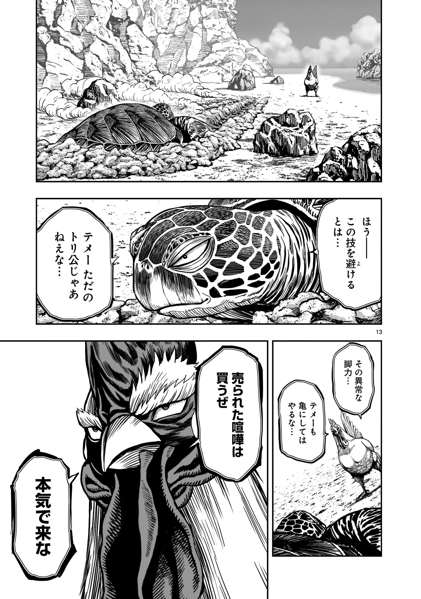 Page 13
