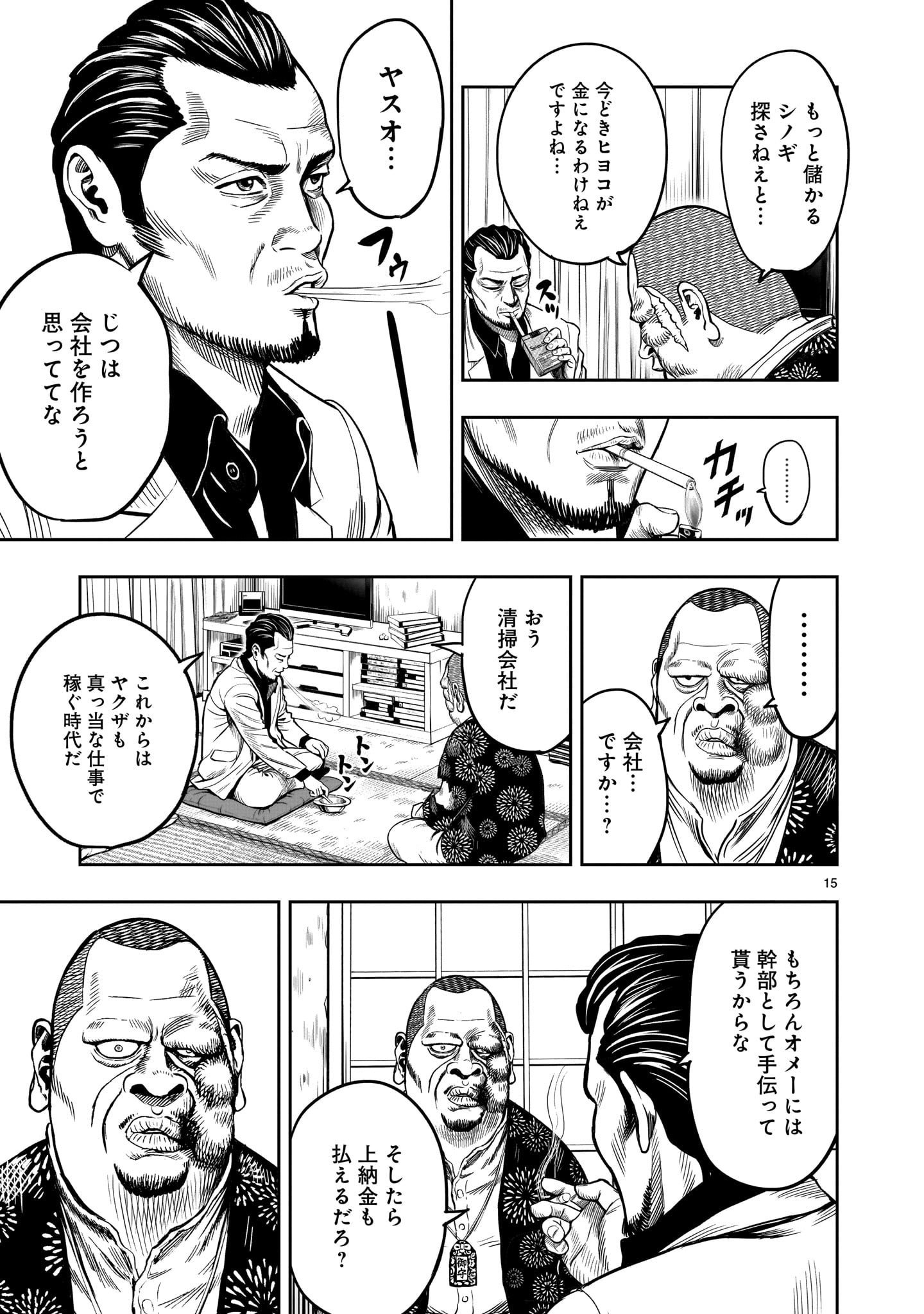 Page 15