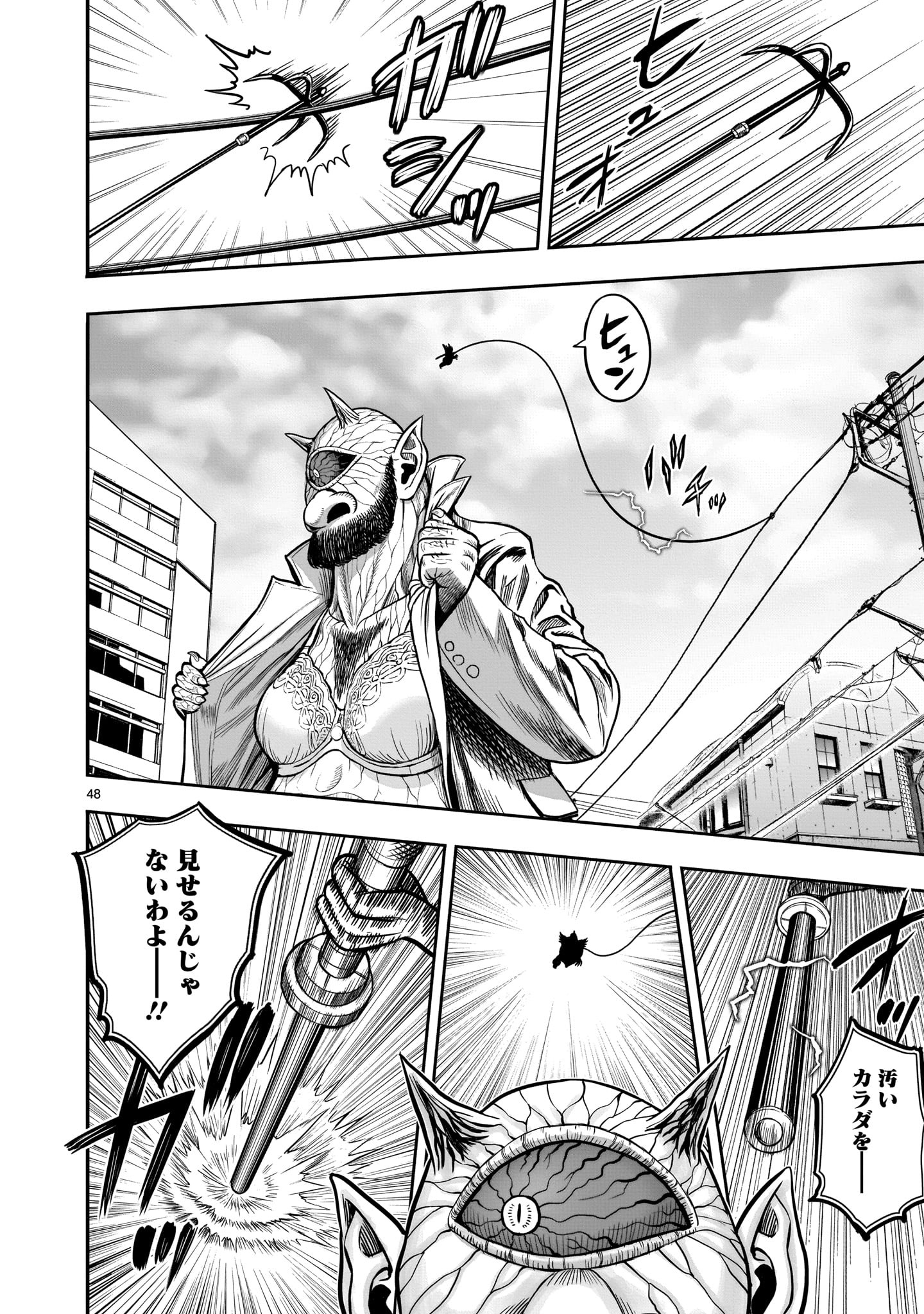 Page 48