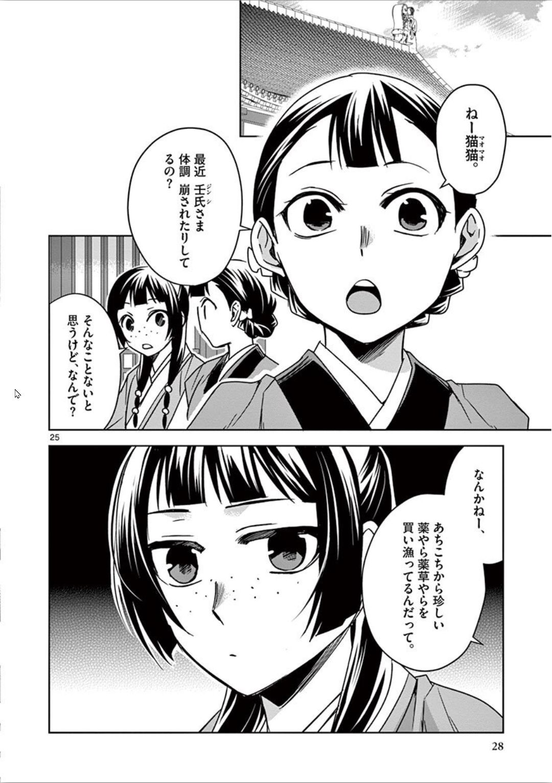 Page 25