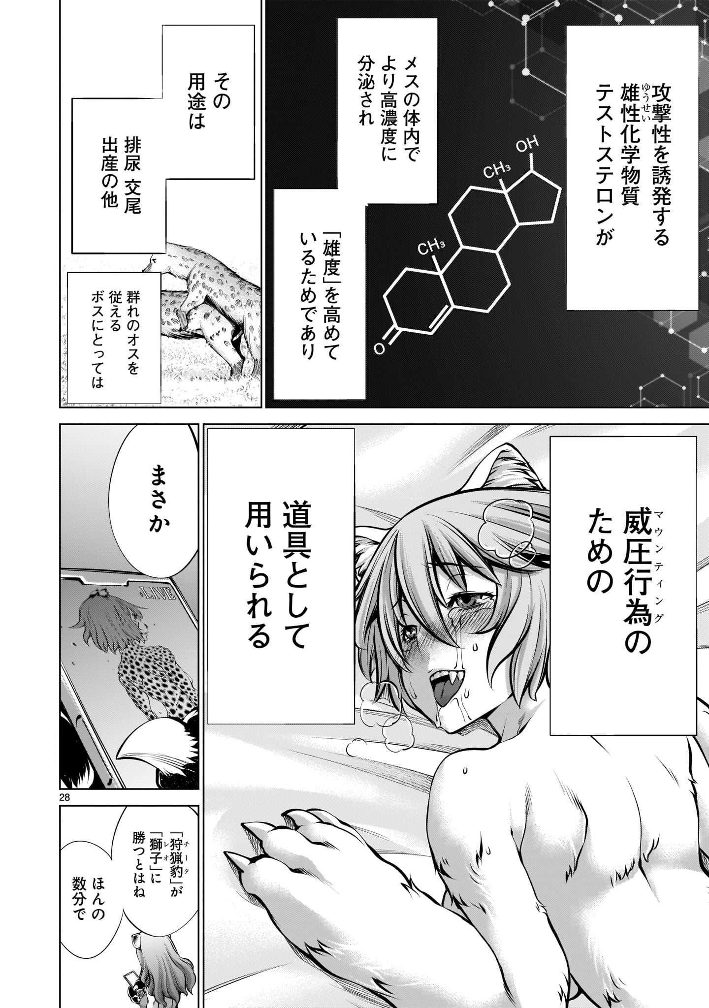 Page 28
