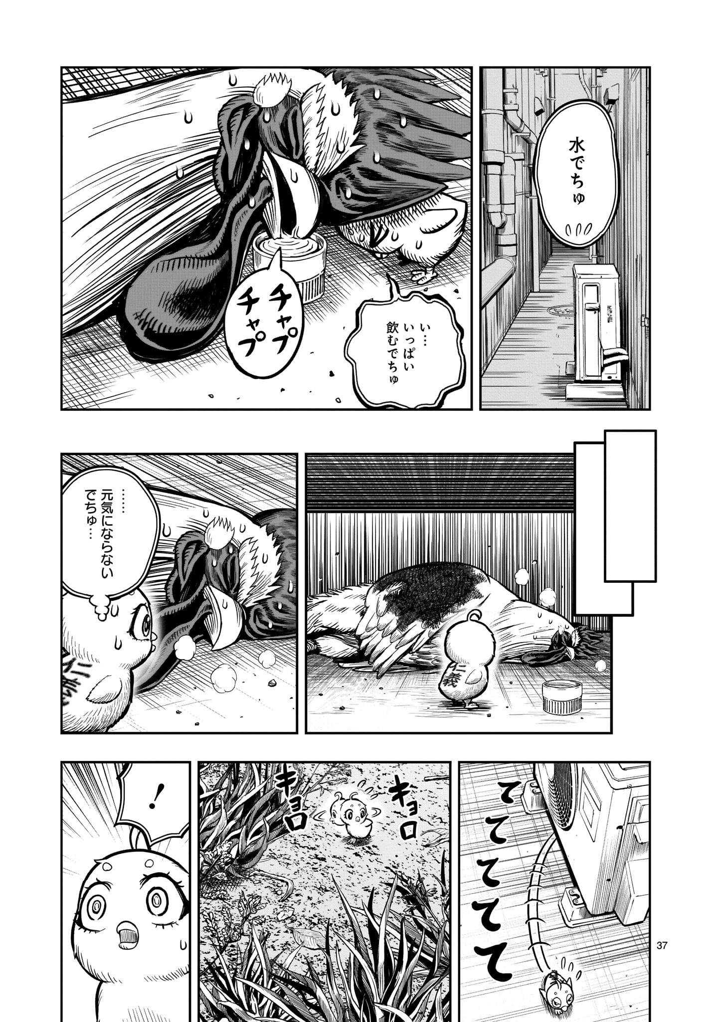 Page 37