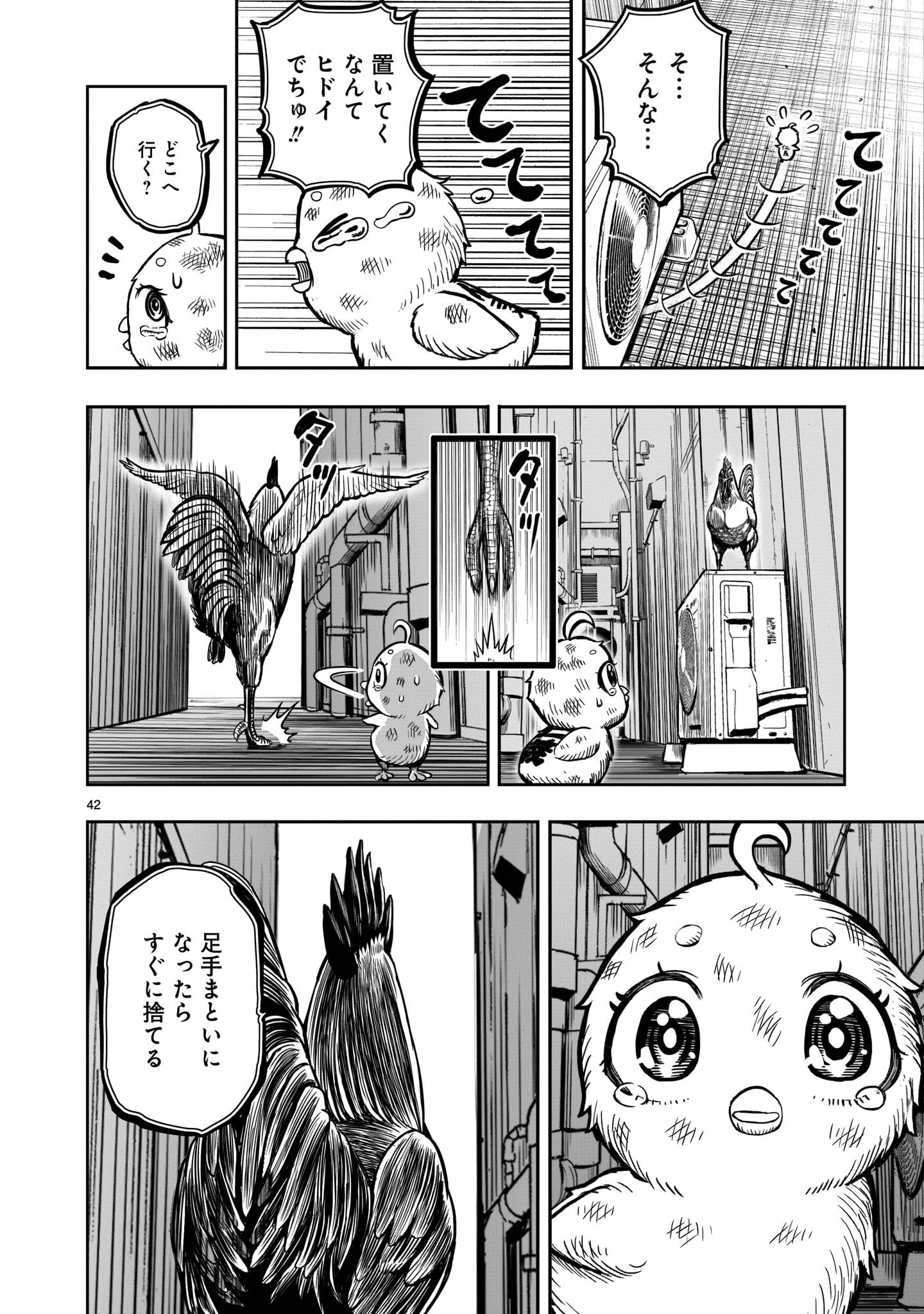 Page 42