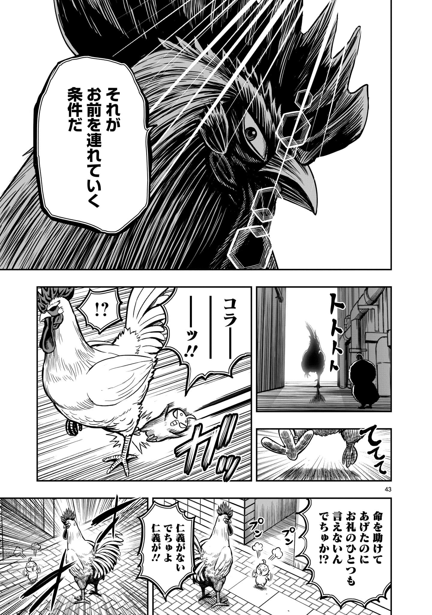Page 43