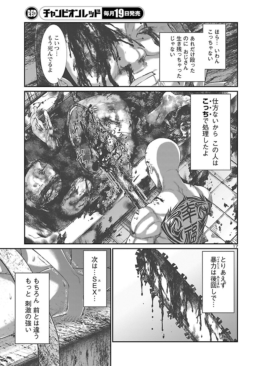 Page 17