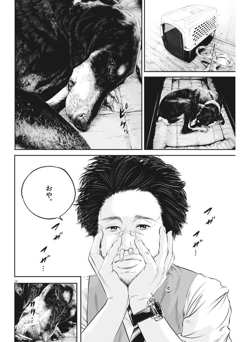 Page 14