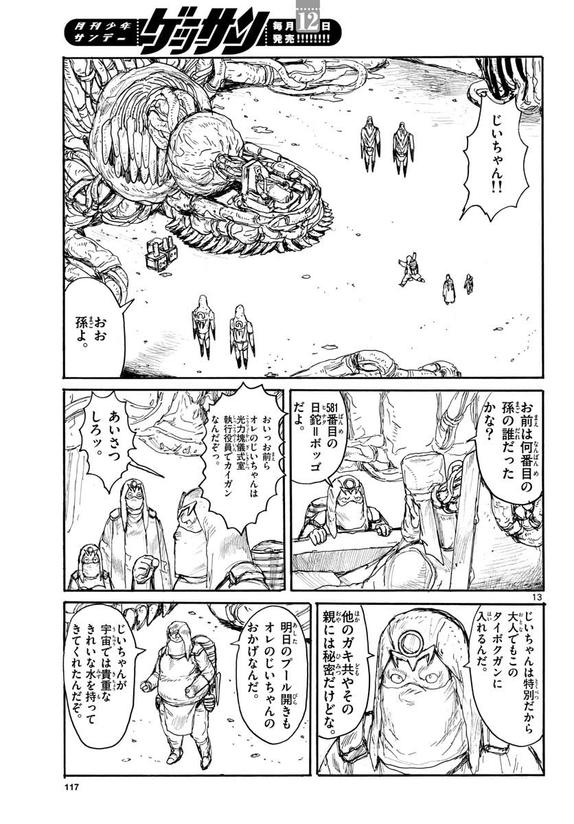 Page 13