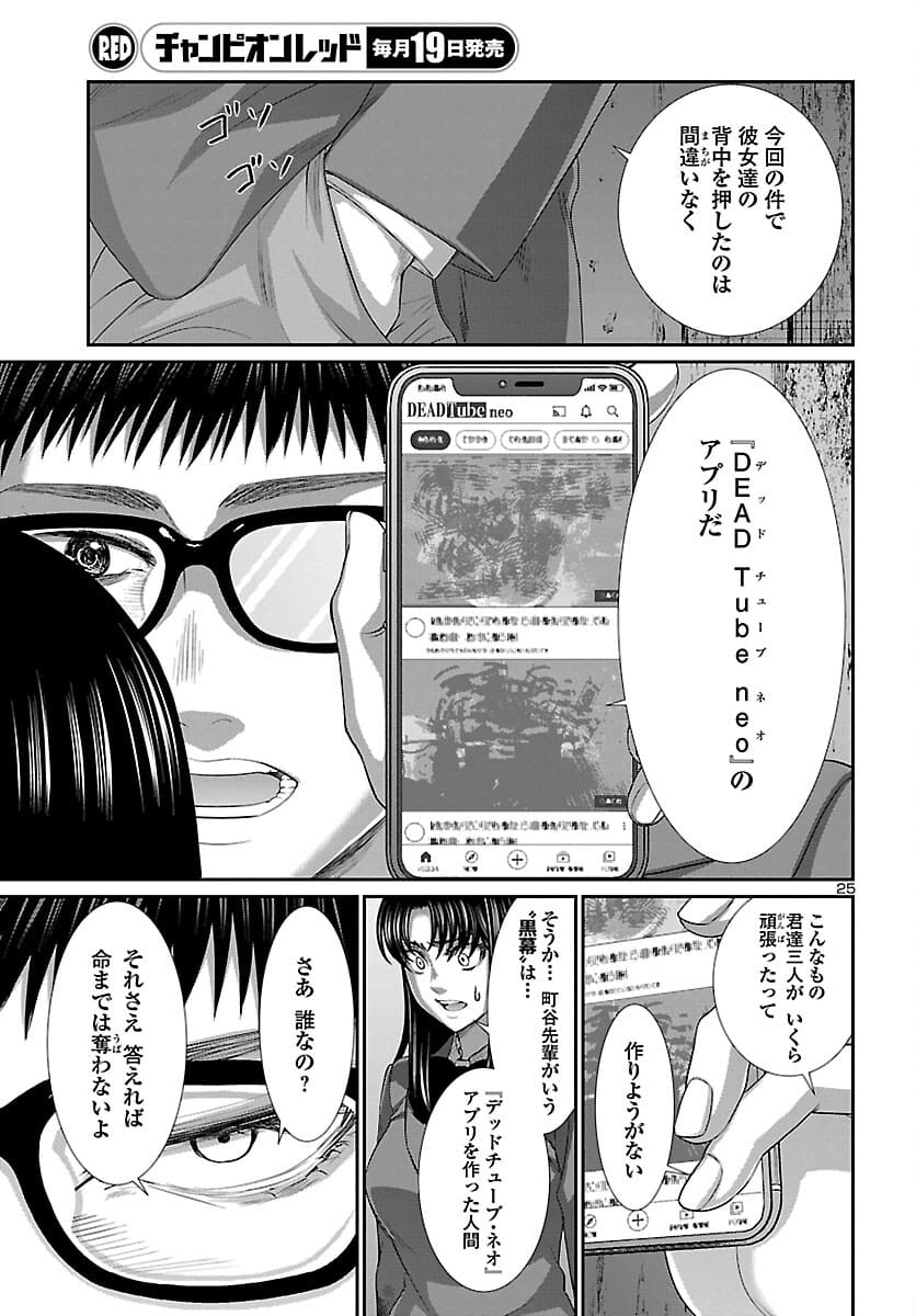 Page 25