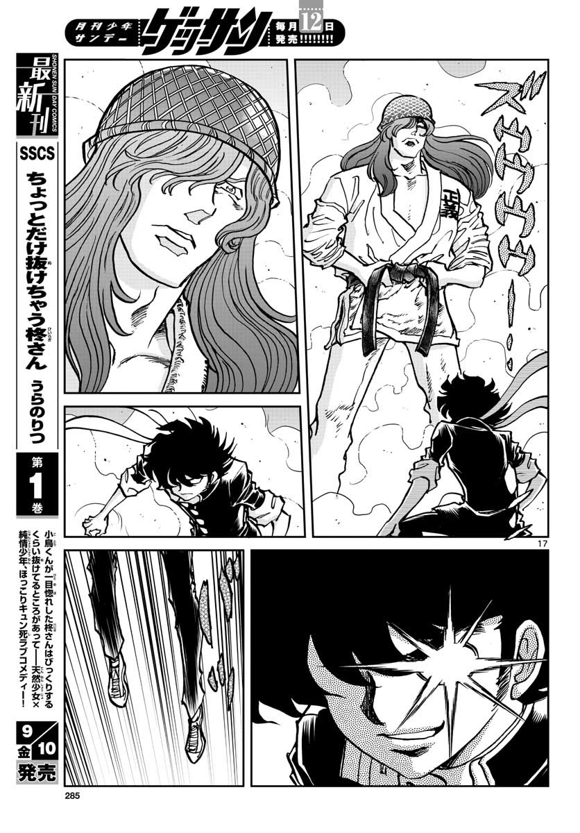 Page 17