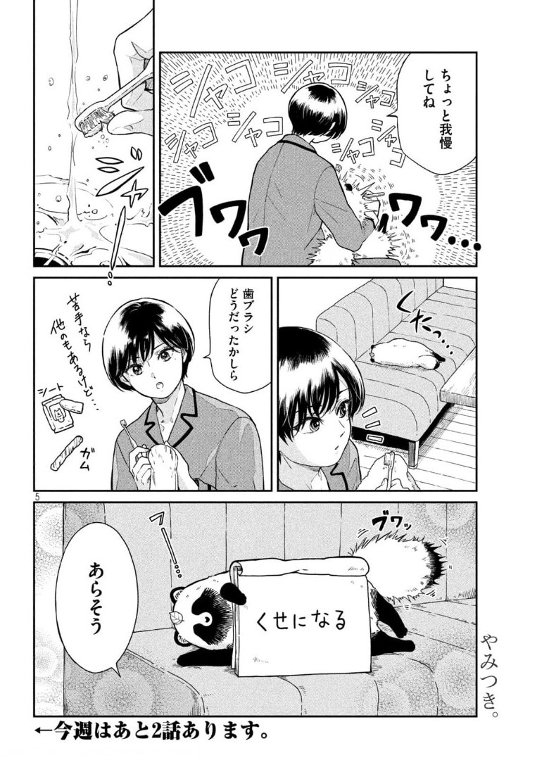 Page 5