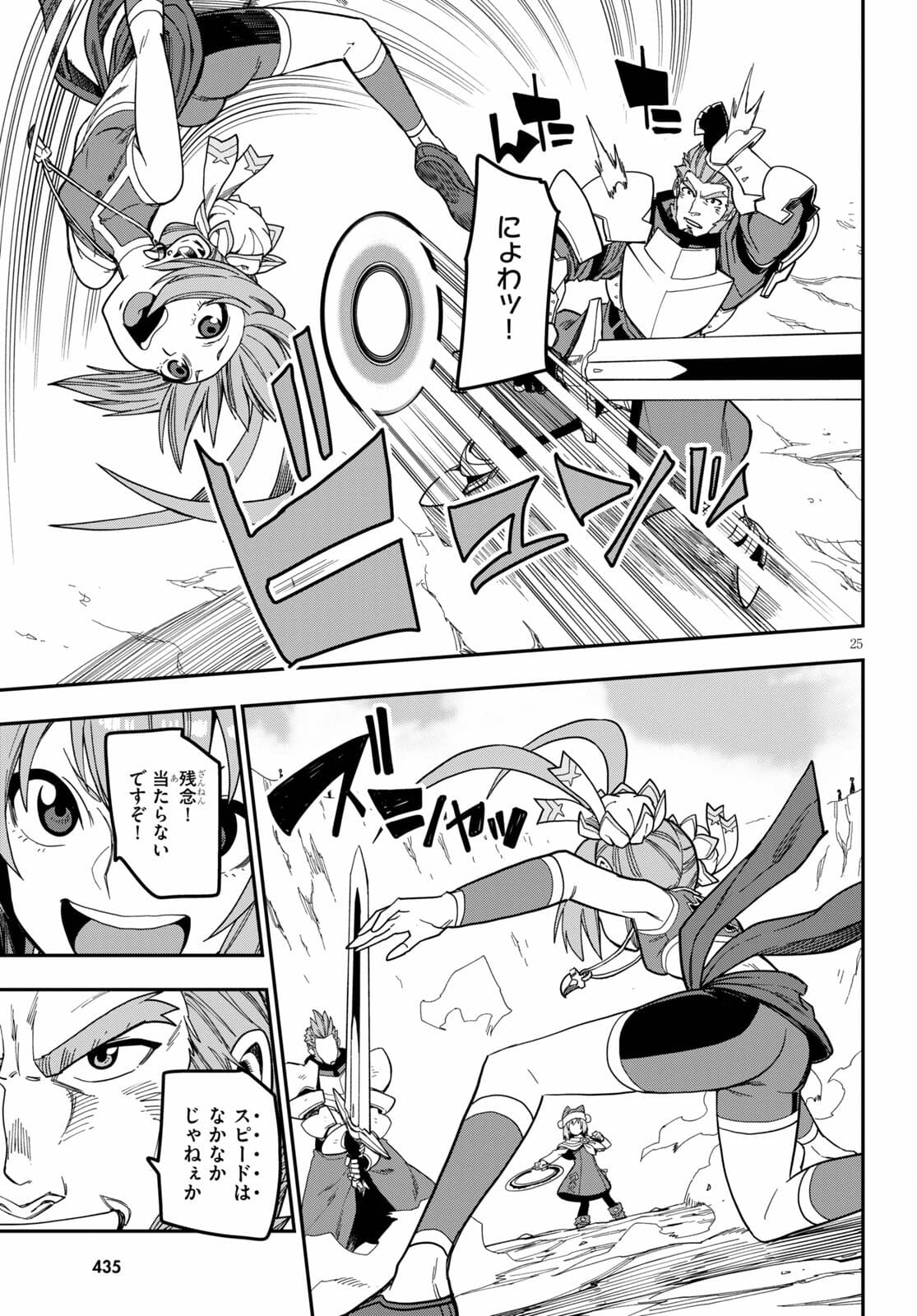 Page 25