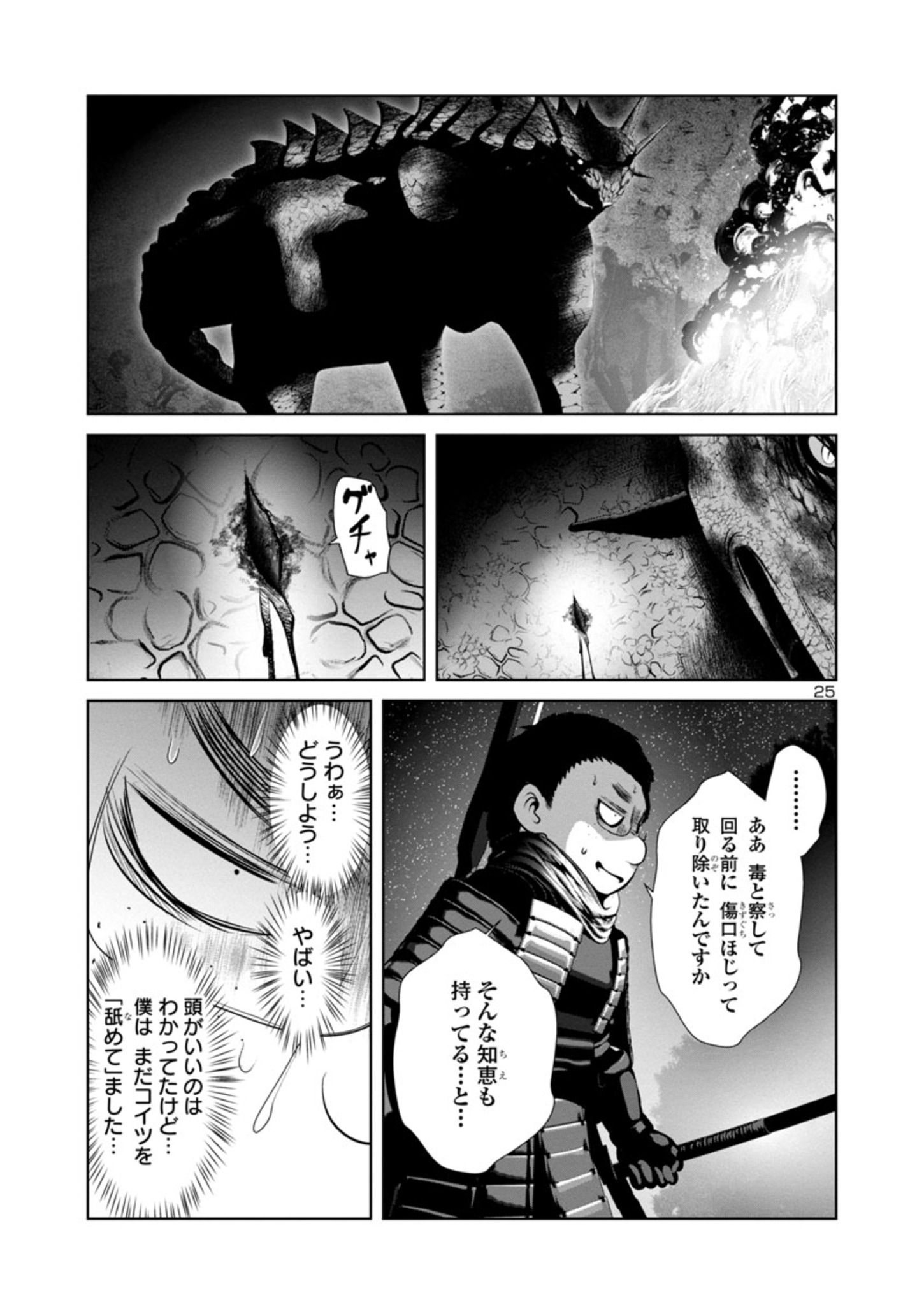 Page 25
