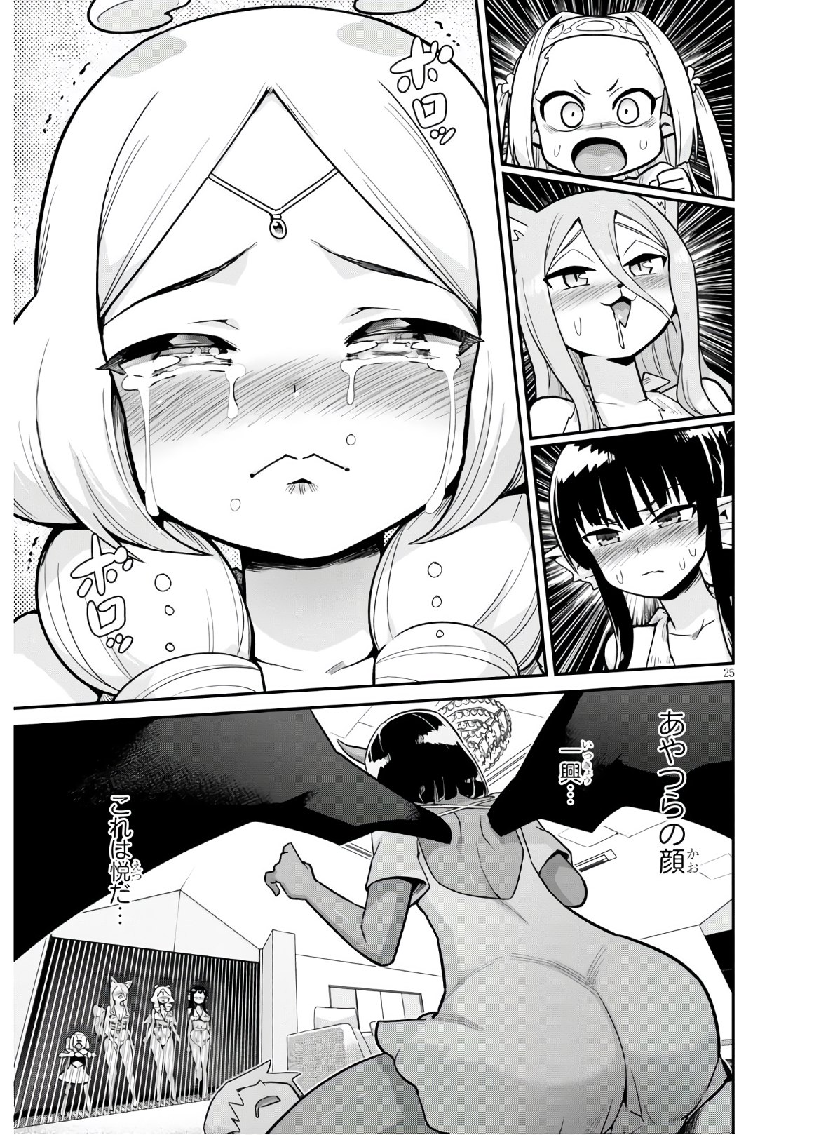 Page 25