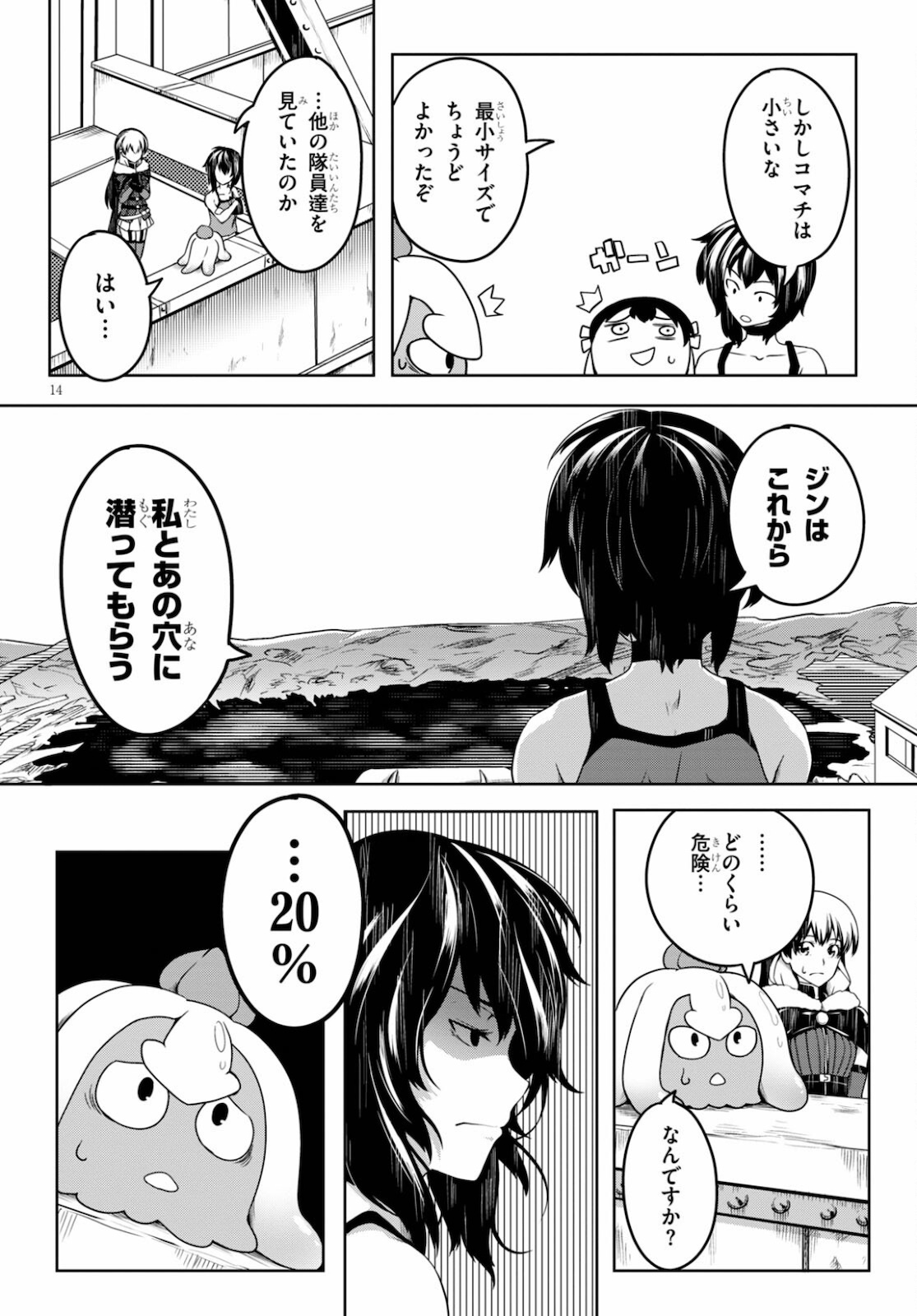 Page 14